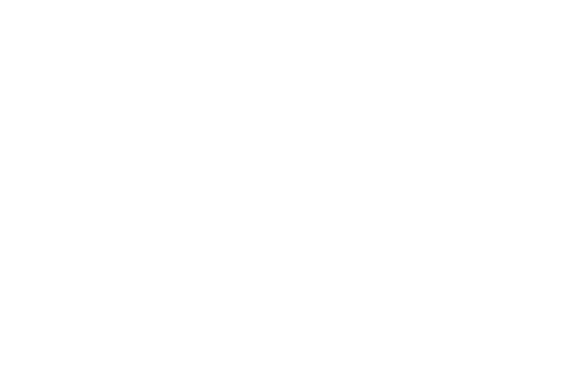 How Lane Boots Generated $46k in Incremental Revenue in 30 Days with Instant 